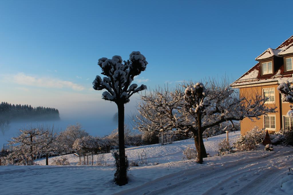 Gaestehaus Schloss Kronburg المظهر الخارجي الصورة